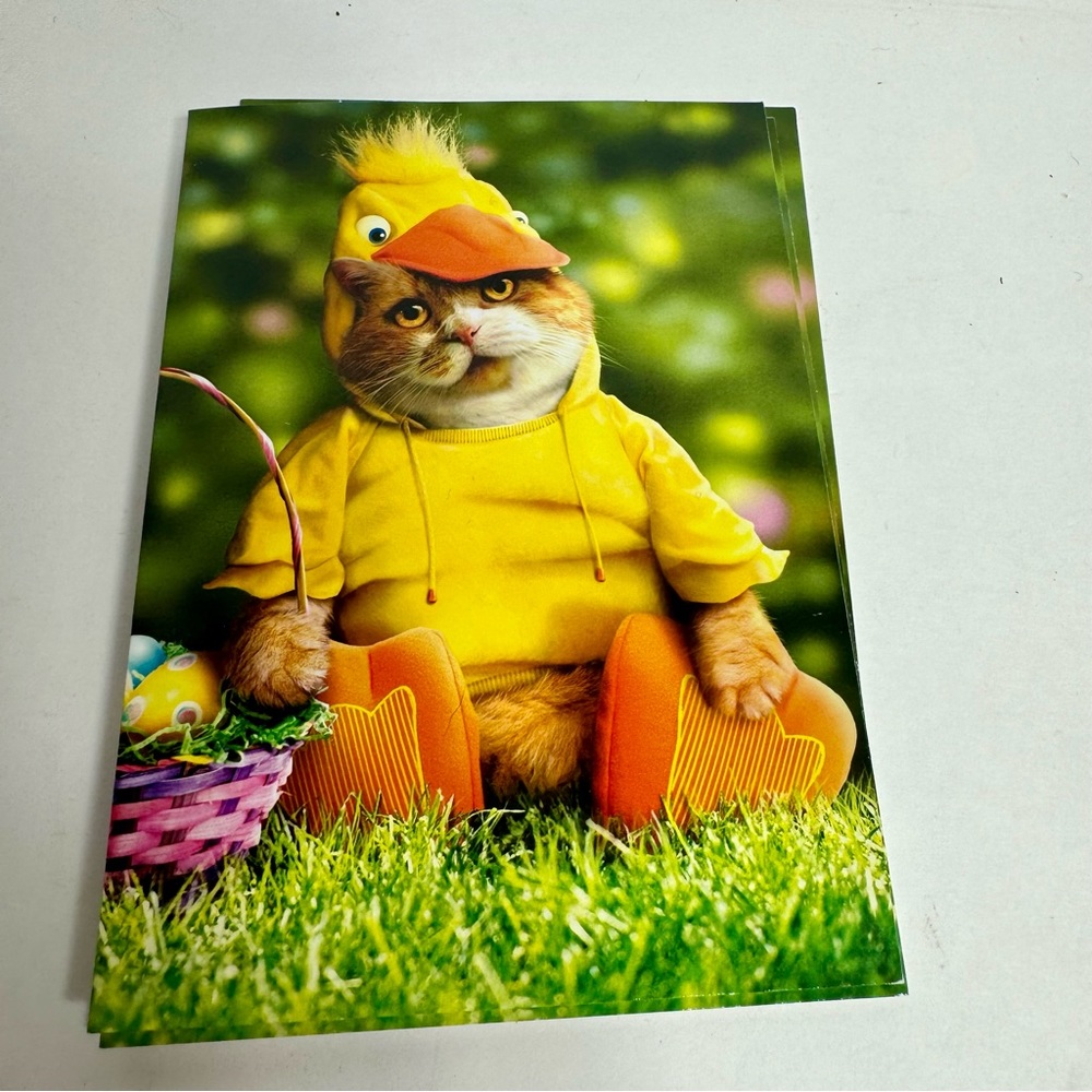 5 Avanti Greeting cards - cat in duck costume 
Holiday: Easter